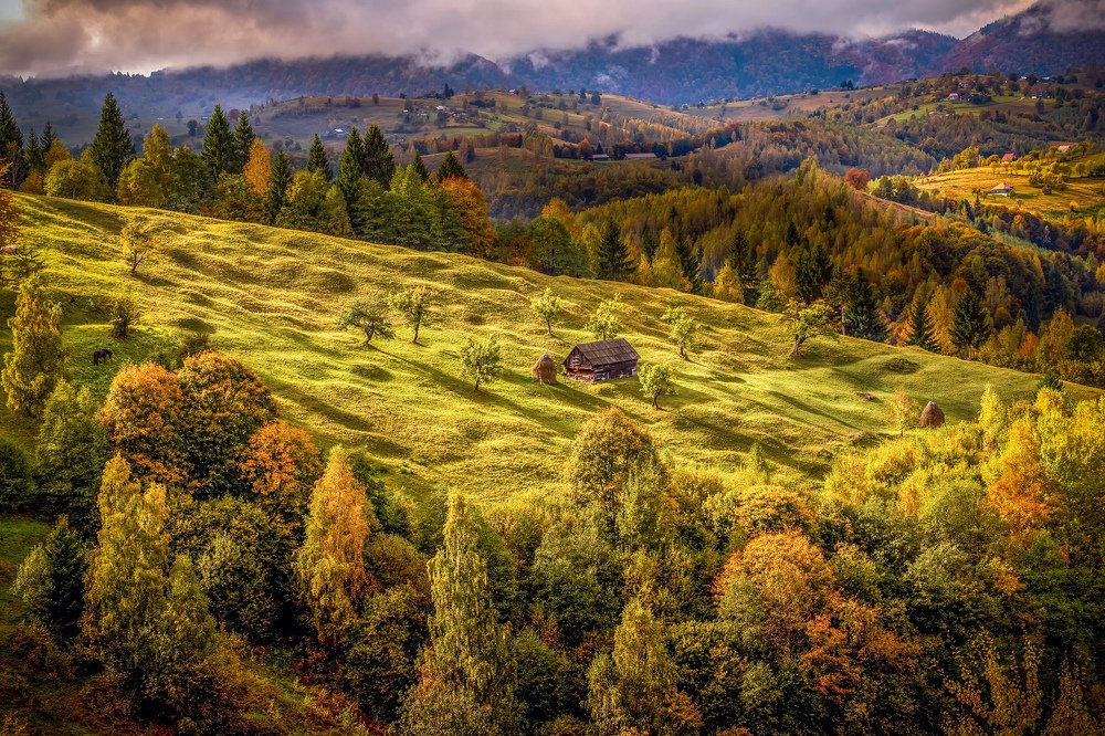 Фотография автора Елена Маковоз