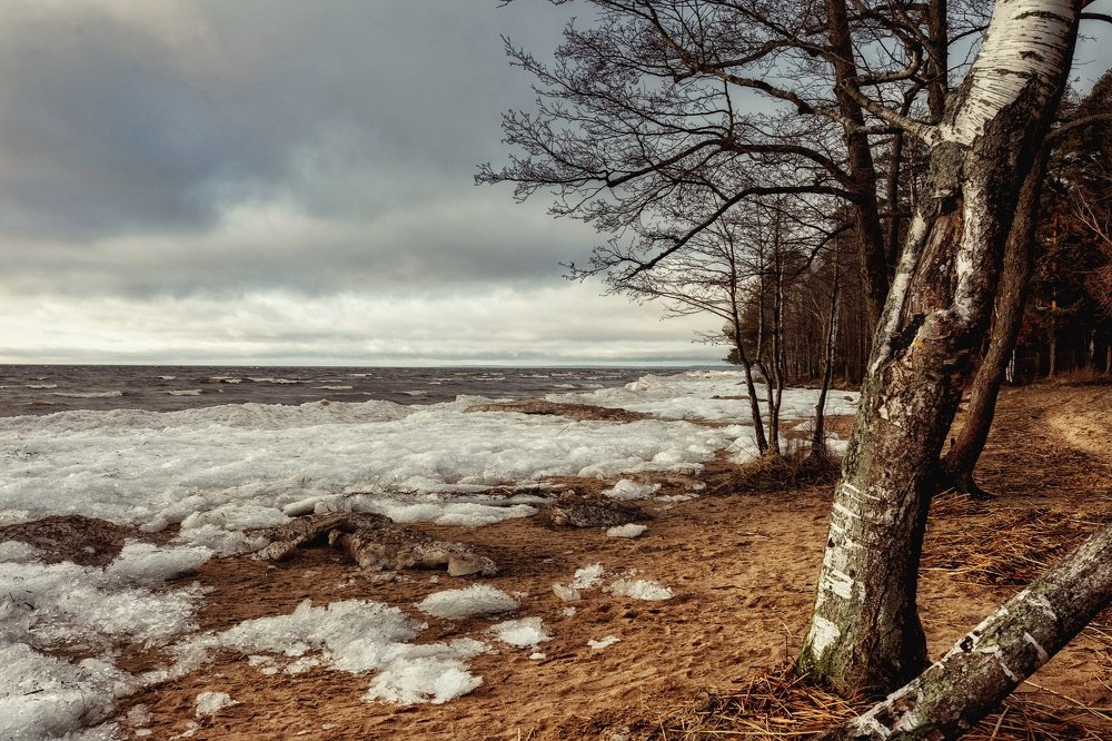 Photograph by Юлия Ильина