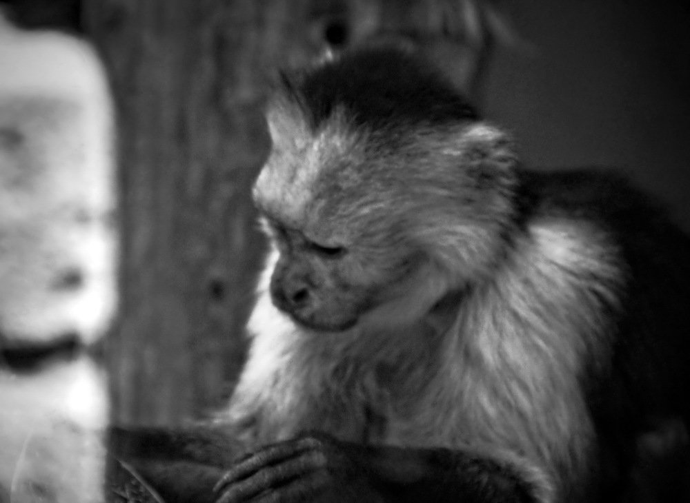 Photograph by Aleksandr Larionov