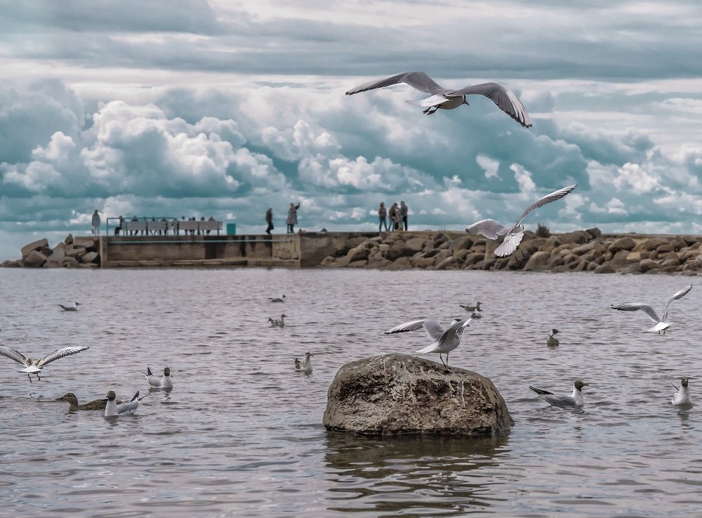 Photograph by Юлия Ильина