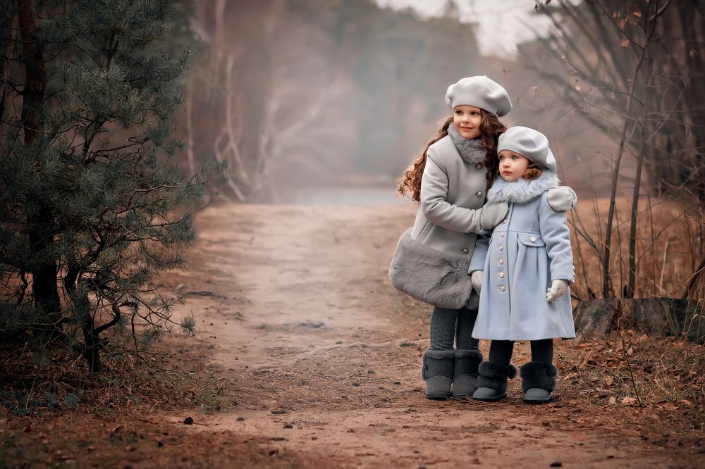 Серебряный бор