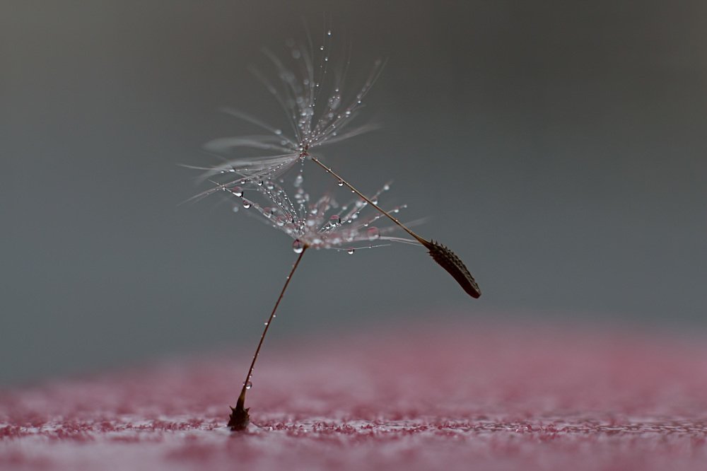 Photograph by Наталья Мищенко