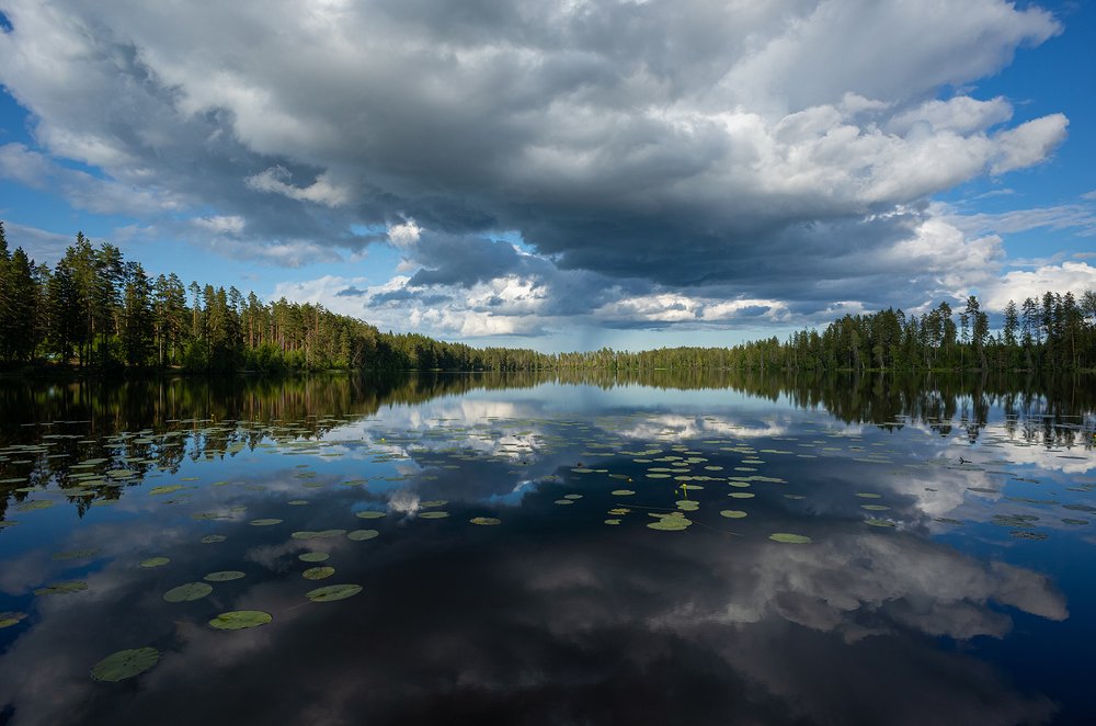 Photograph by Игорь Лазарев