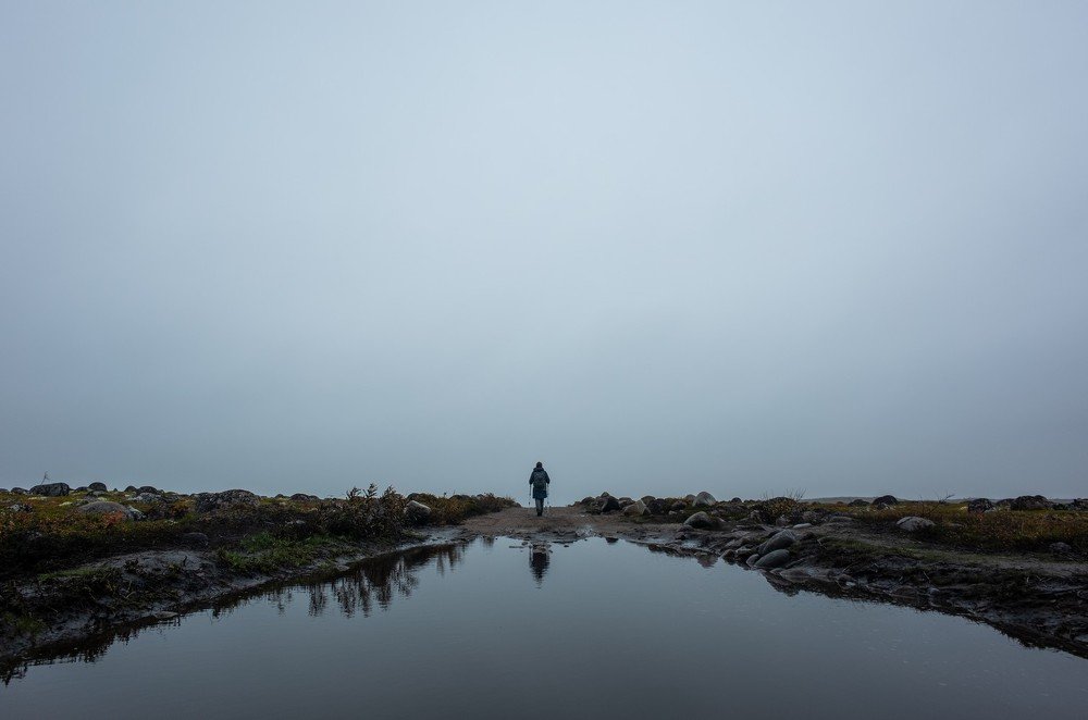 Photograph by Игорь Лазарев