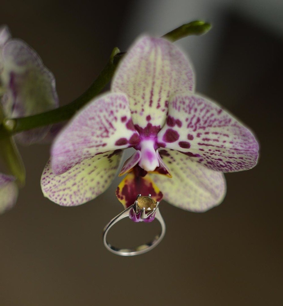 Photograph by Ксения