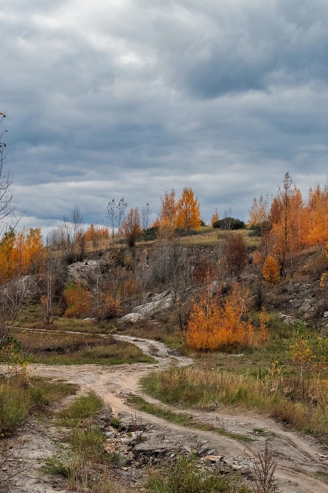 Photograph by Миллена Неро