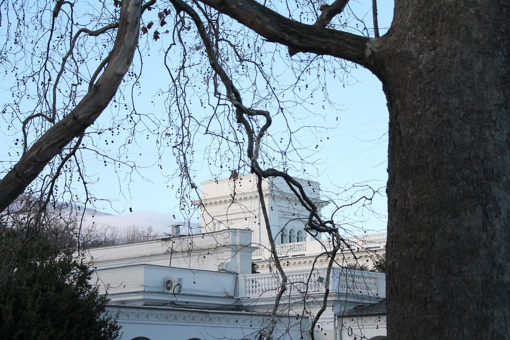 Photograph by Александра Ануфриева