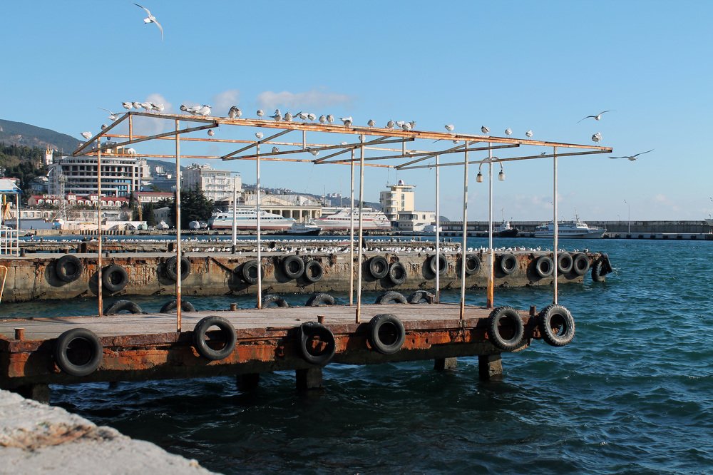 Photograph by Александра Ануфриева