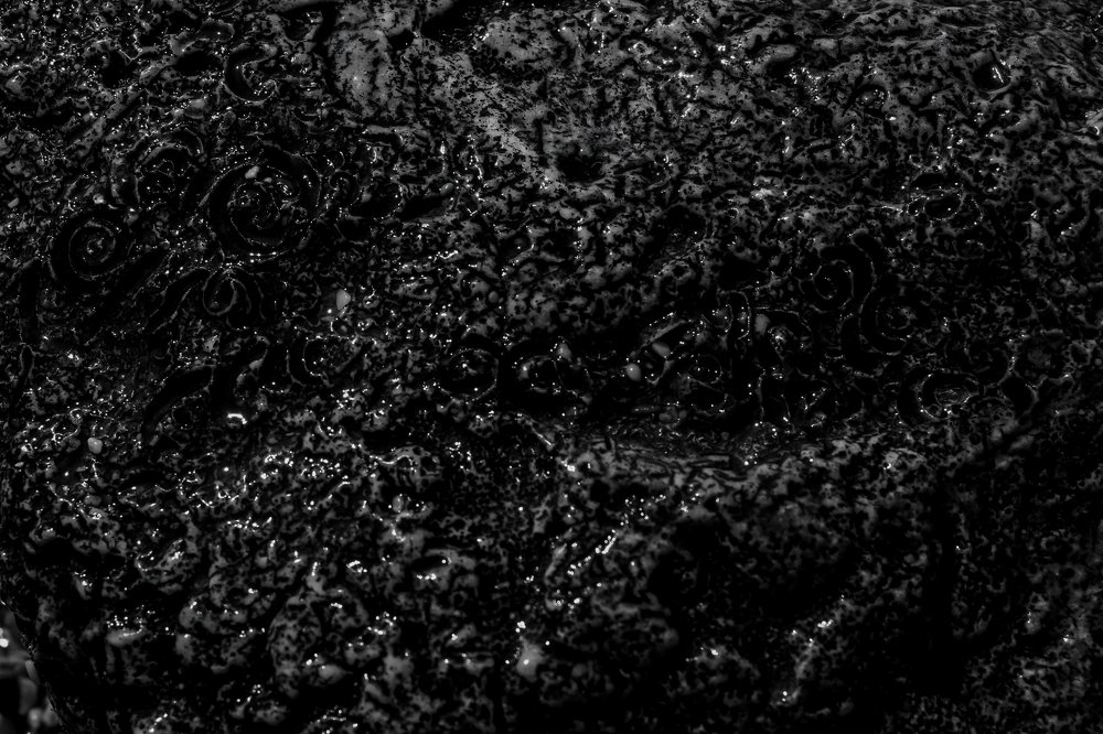 Photograph by Cristian Pasat