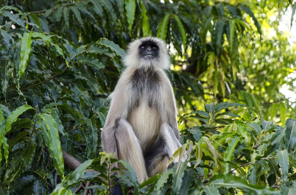 Photograph by Александр Леньков