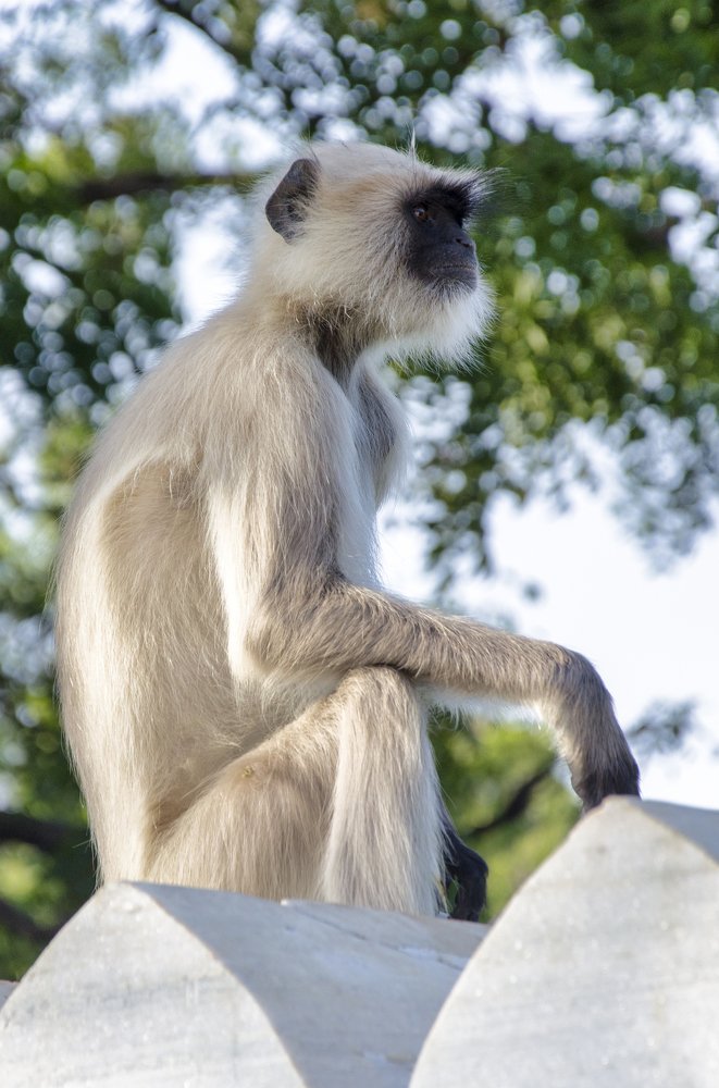 Photograph by Александр Леньков