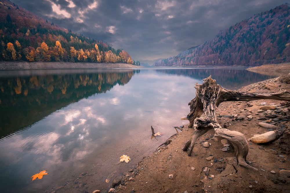 Photograph by Atanas Donev