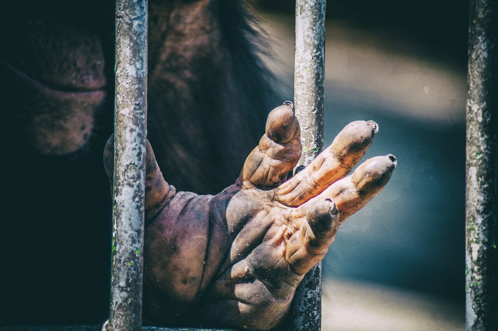 Photograph by DAMOUN POURNEMATI