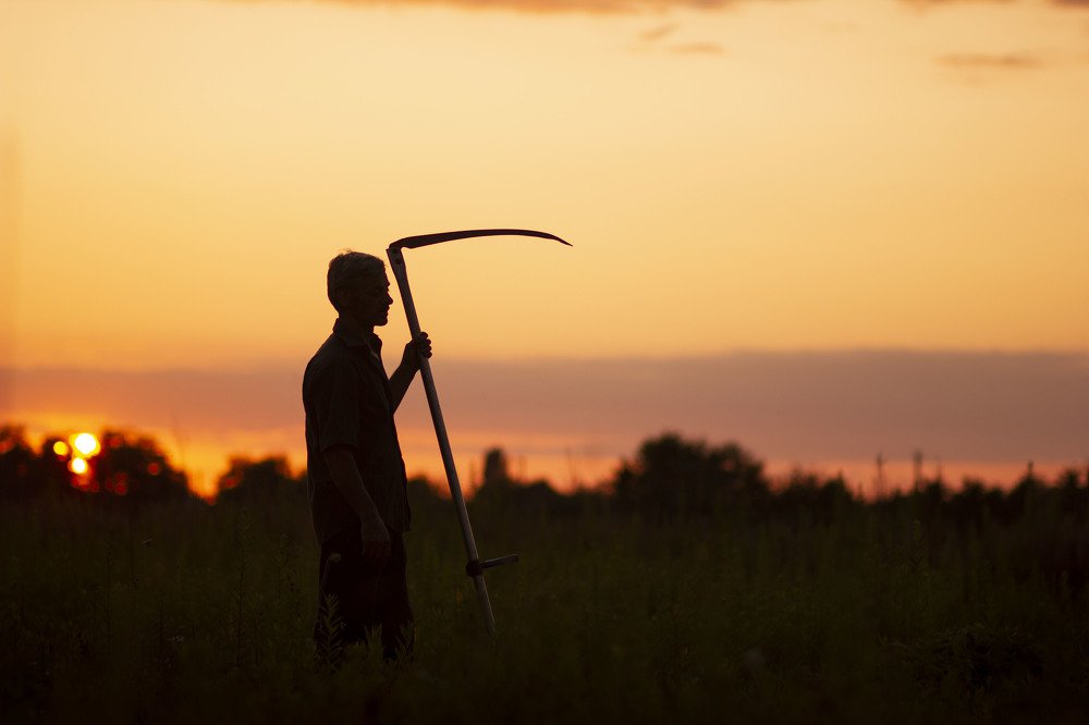 Photograph by Karine Sarkisian