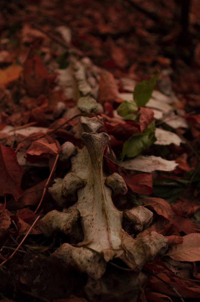 Photograph by Анна Толмачёва