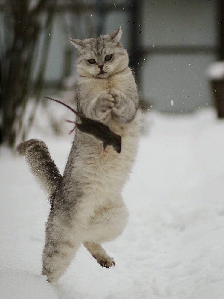 Photograph by Светлана Богомолова