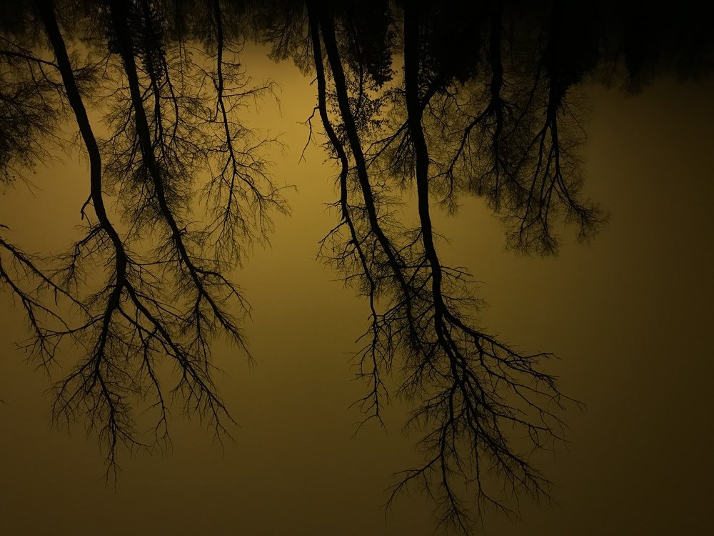 Photograph by Ангелина Егорова
