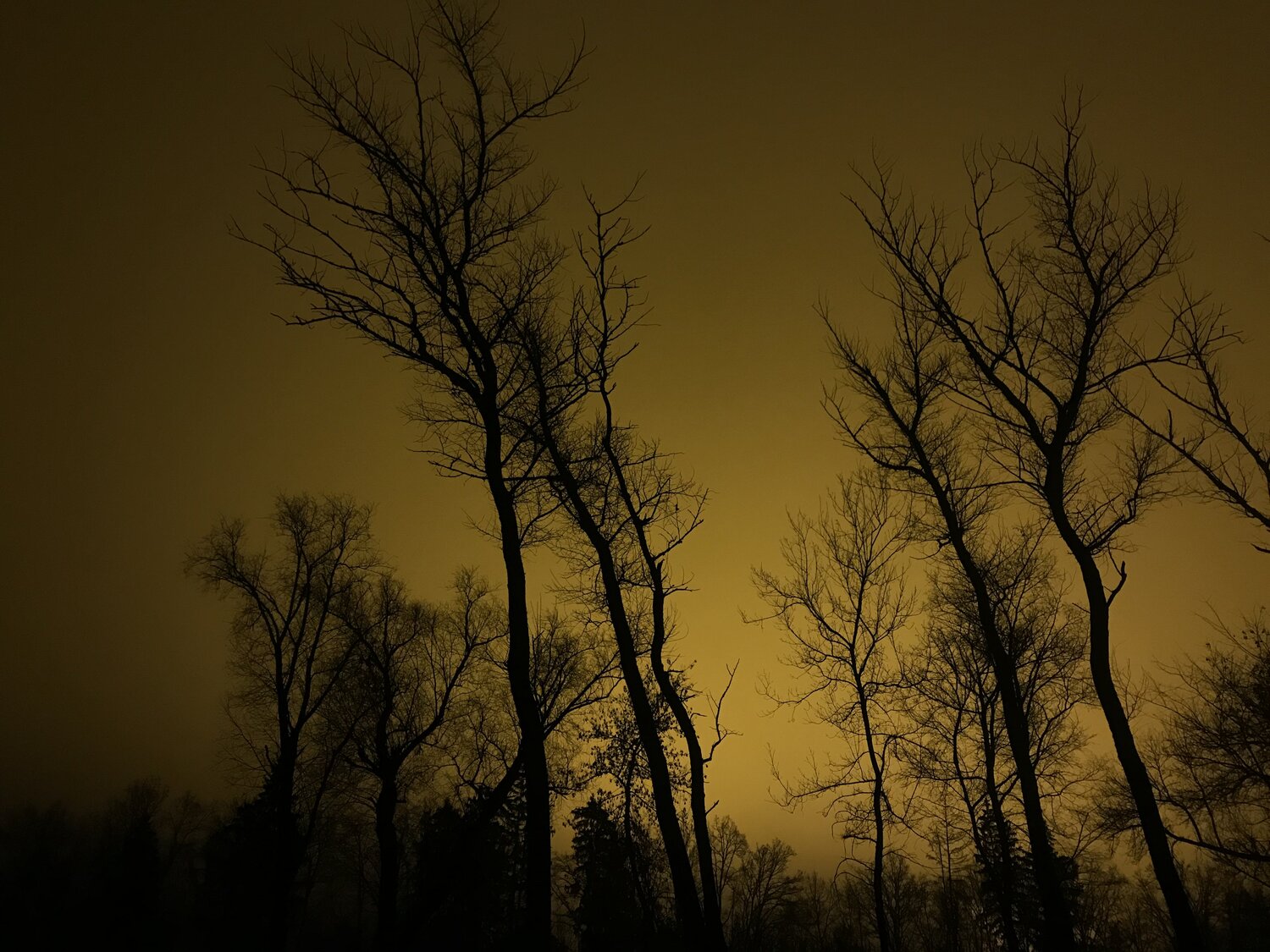 Photo #4247266