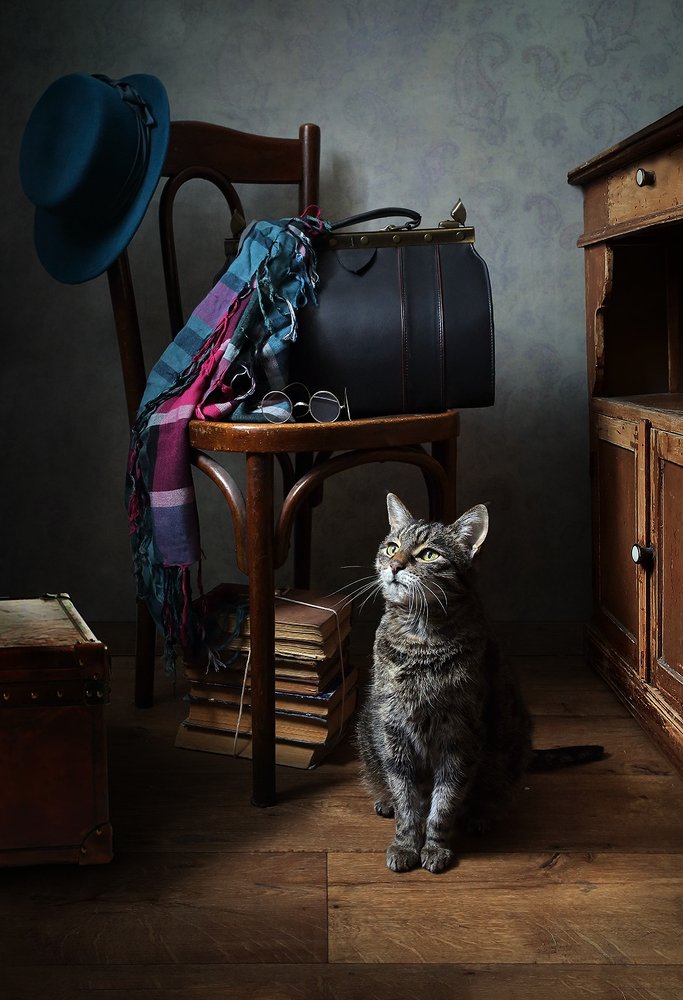 Возвращение.