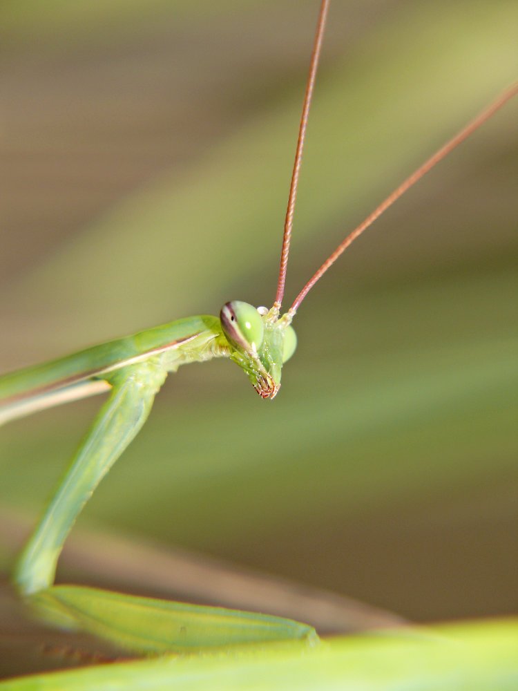 Photograph by Юрий Филицкий