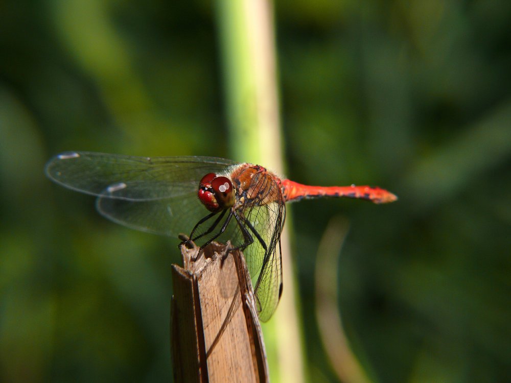 Photograph by Юрий Филицкий