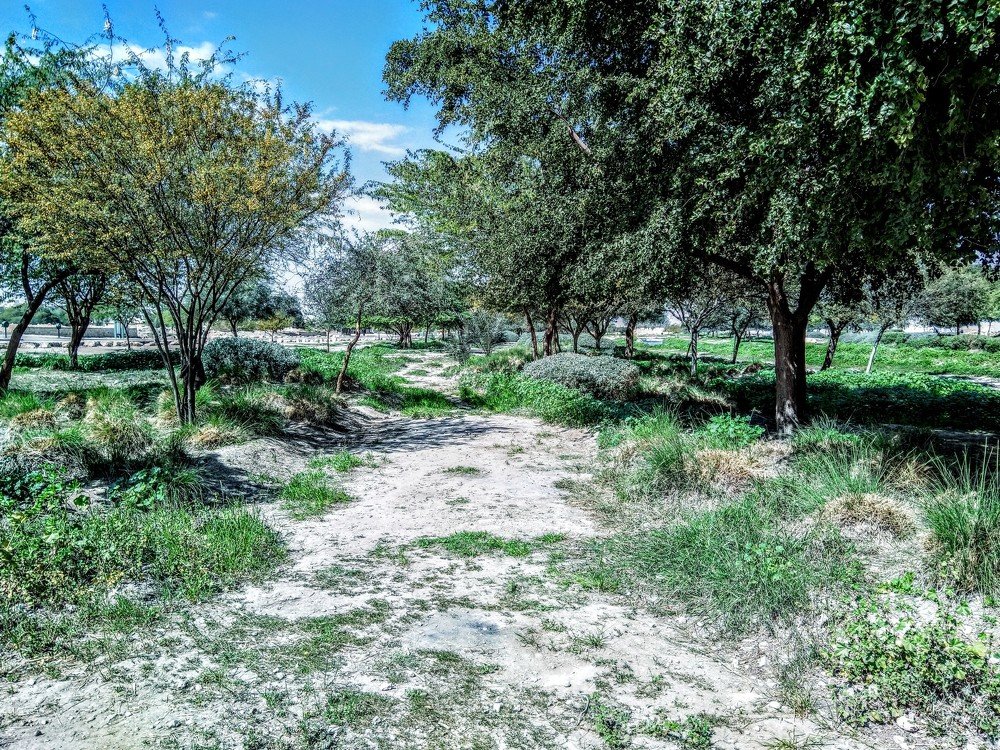 Фотография автора Jayed Wahib Ul Malik