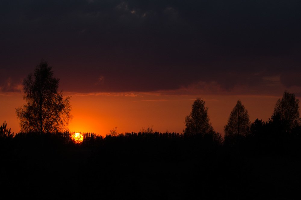 Photograph by Павел Игошин