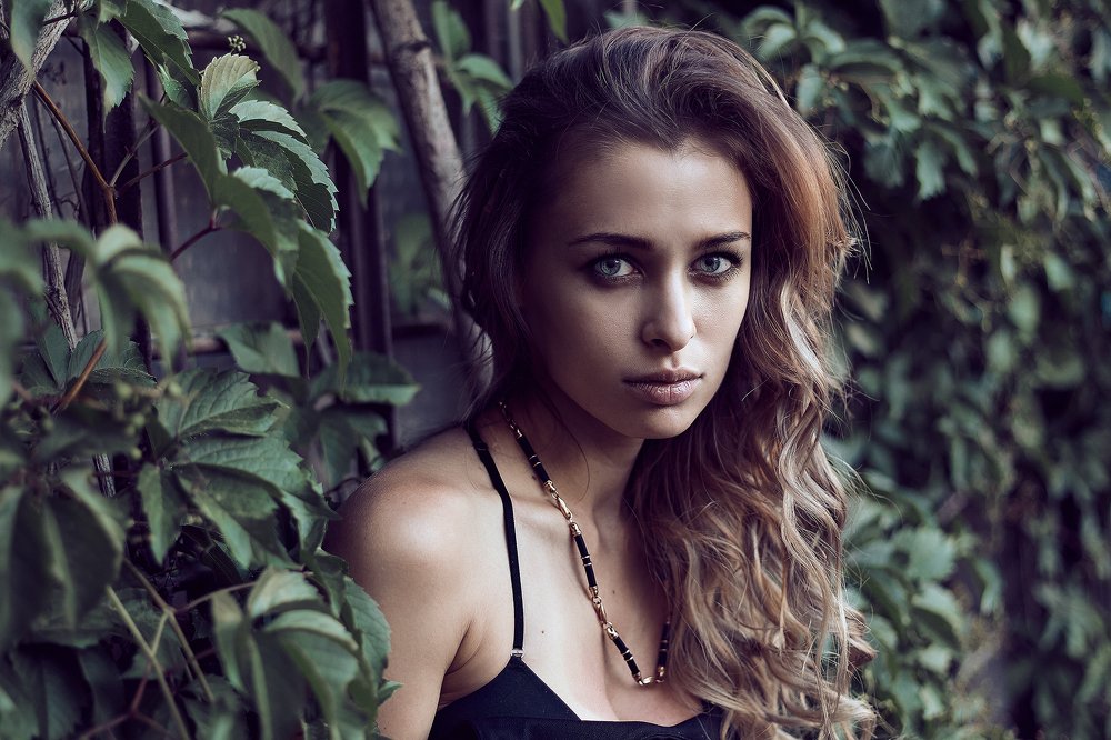 Фотография автора Max Solve