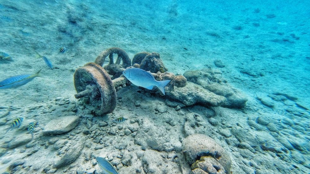 Photograph by Елена