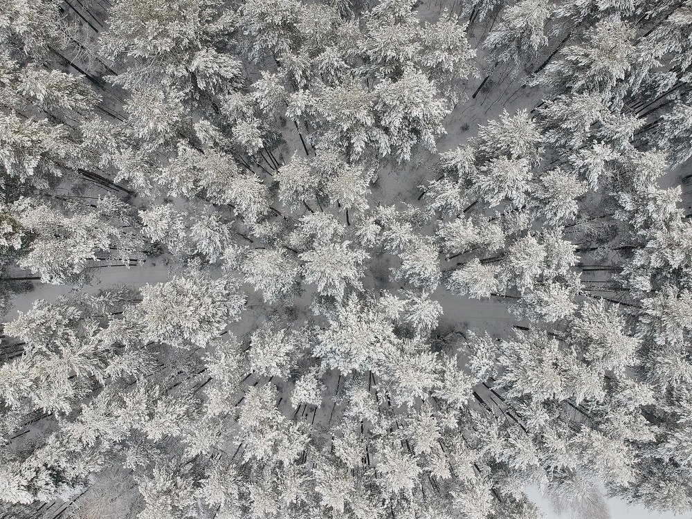 Photograph by Александр Мольков