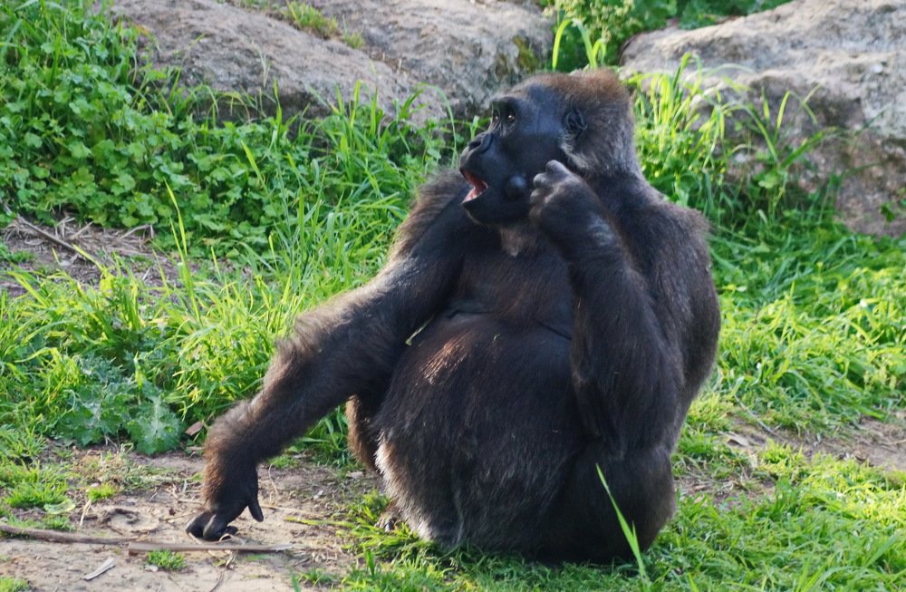 будущая мама