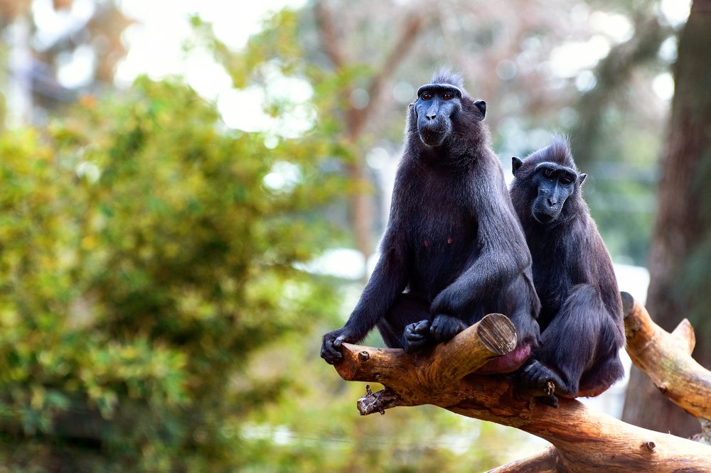 Photograph by David Lerer