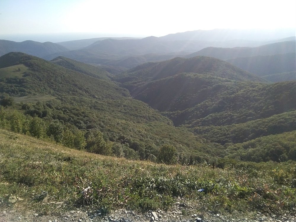 Photo #4247663