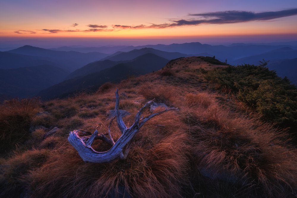 Фотография автора U-235