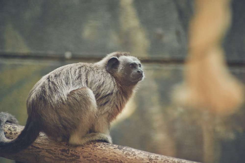 Photograph by Luis Acuña