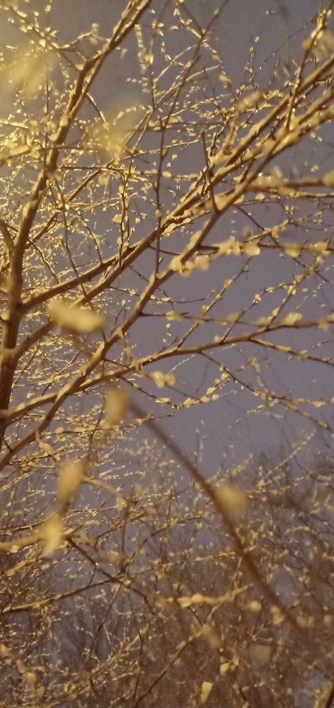 Photograph by Ольга Заяева