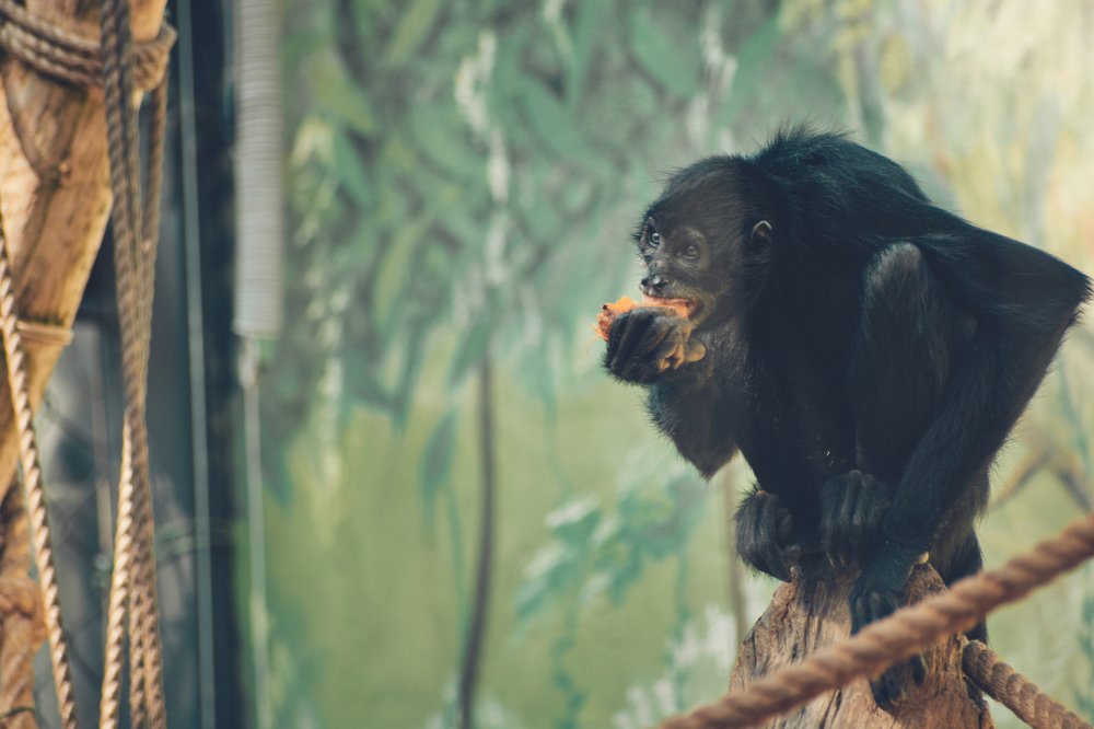 Photograph by Luis Acuña