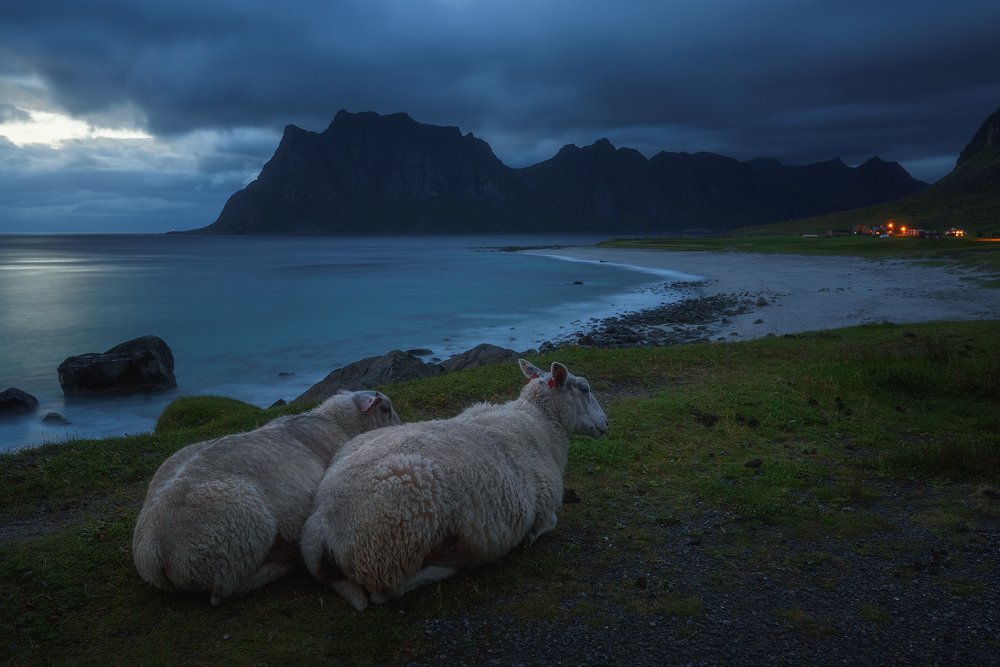Фотография автора U-235