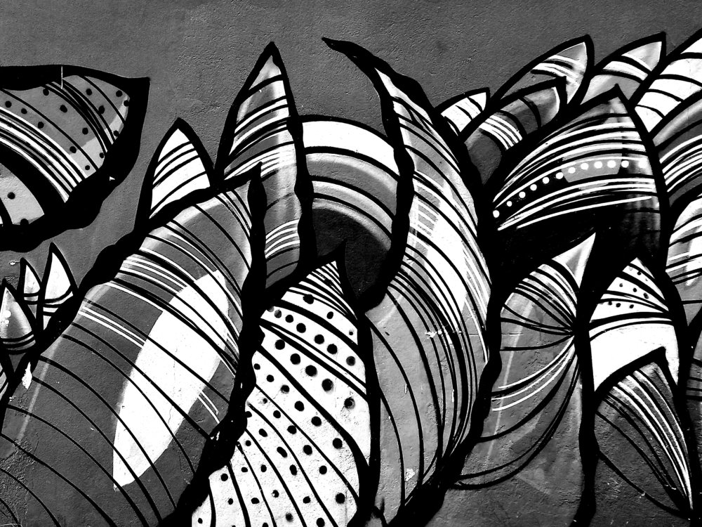 Photograph by Wallace Ribeiro de Jesus