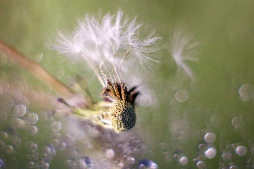 Photograph by Маргарита Федурина