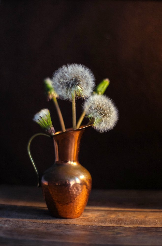 Photograph by Маргарита Федурина