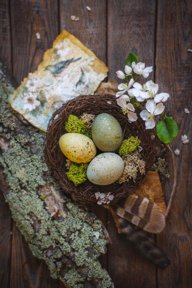 Photograph by Маргарита Федурина