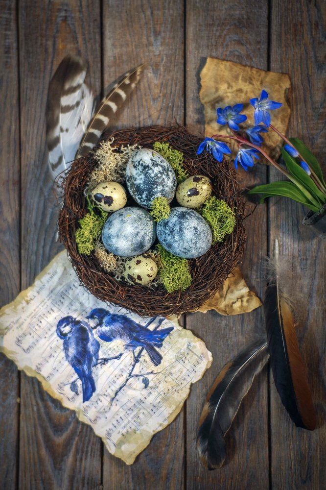 Photograph by Маргарита Федурина