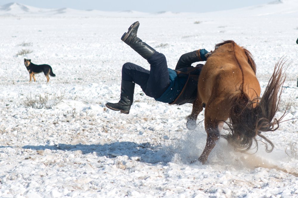 Photograph by Unubold Ganbold