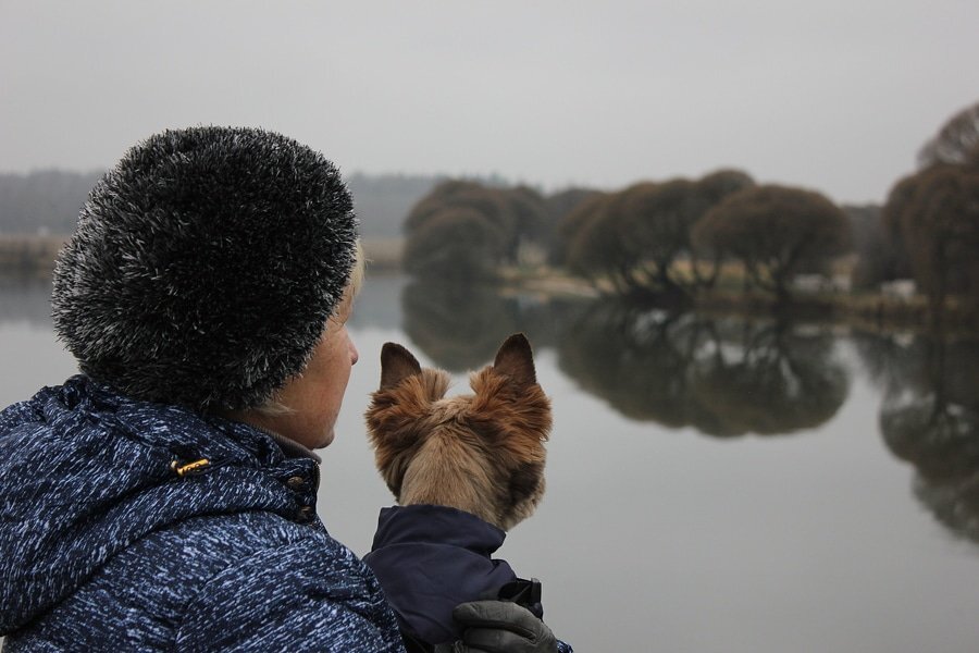 Photograph by Наталья Колтыкова