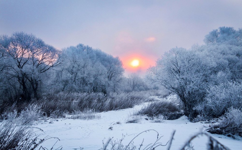 Photograph by Маргарита Федурина