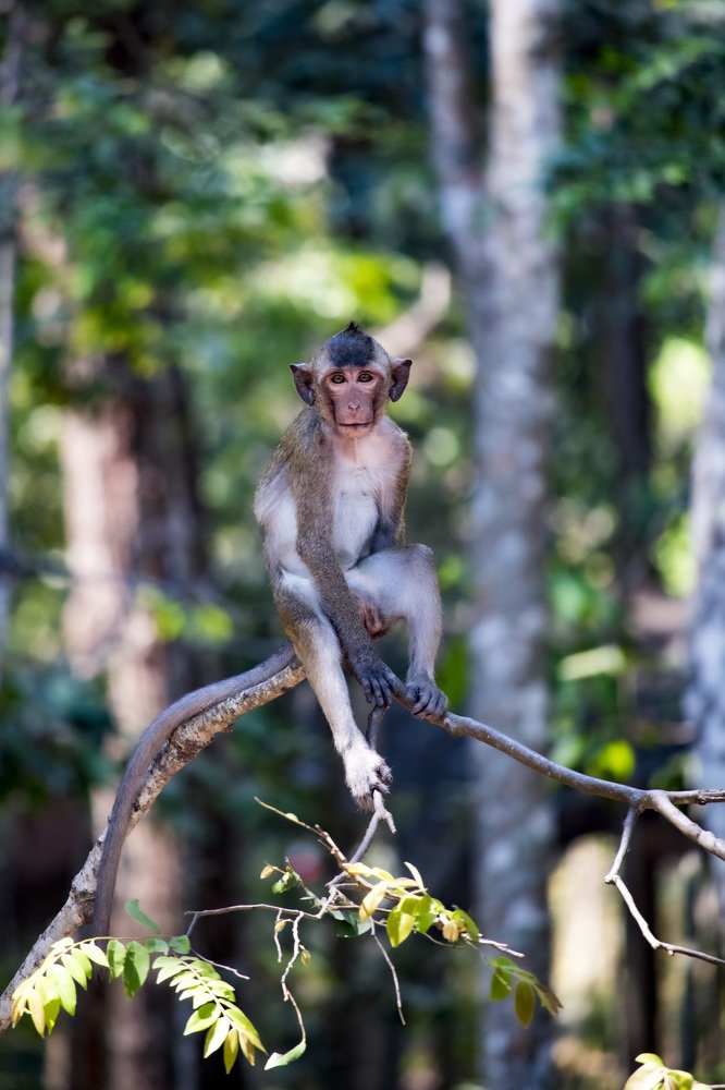 Photograph by Lê Trung Phùng