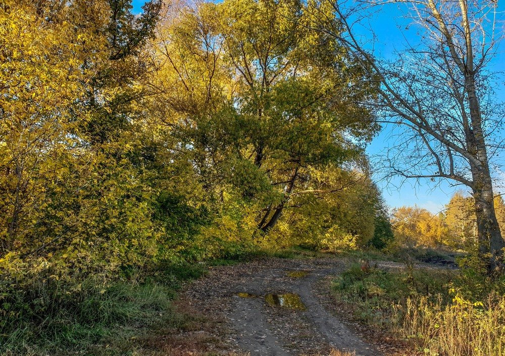 времена года