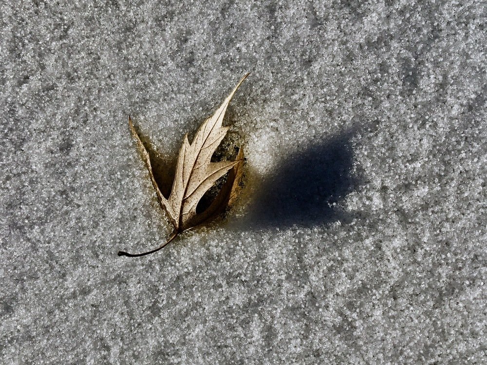 Photograph by Елена Ким