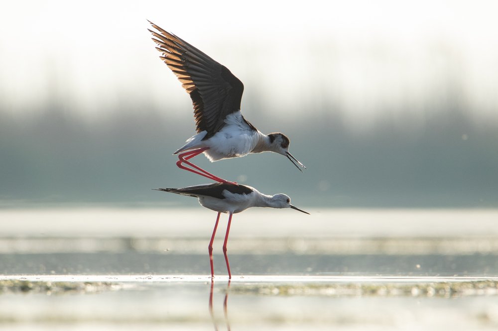 Photograph by Цветков Сергей